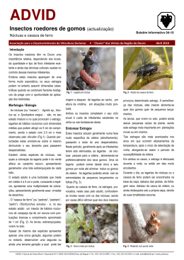 Boletim Informativo 04-10 - Insectos roedores de gomos
