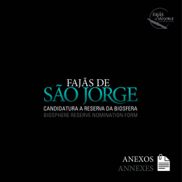 Ponto.19.do.Formul&aacute;rio.de.Candidatura