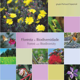 Brochura de Floresta e Biodiversidade