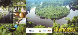 Alta Floresta - Instituto Centro de Vida