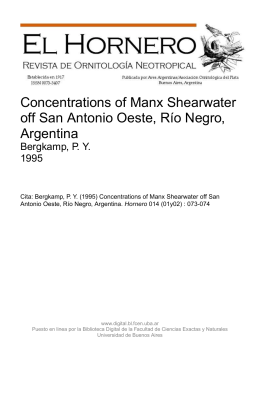 Concentrations of Manx Shearwater off San Antonio Oeste, Río