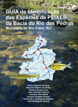 Guia de Identifica&ccedil;&atilde;o das Esp&eacute;cies de Peixes da
