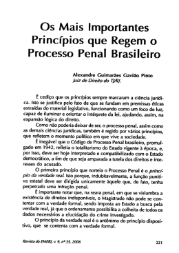 Os Mais Importantes Princ&iacute;pios que Regem o Processo