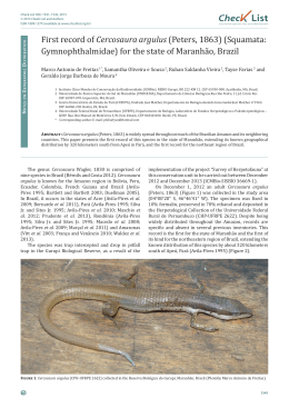 First record of Cercosaura argulus (Peters, 1863)(Squamata