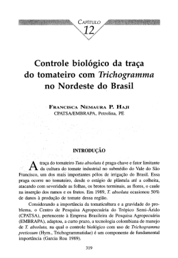 Controle biol&oacute;gico da tra&ccedil;a do tomateiro com Trichogramma no