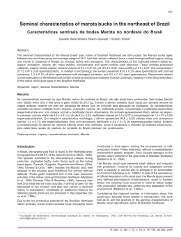 Seminal characteristics of marota bucks in the northeast of Brazil