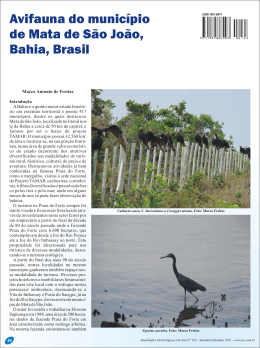 Avifauna do município de Mata de São João, Bahia, Brasil