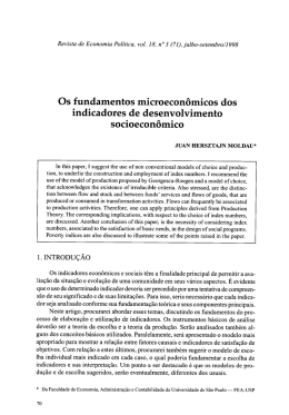 Os fundamentos microeconômicos dos indicadores