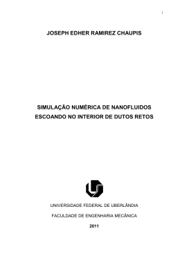 joseph edher ramirez chaupis simula&ccedil;&atilde;o num&eacute;rica de