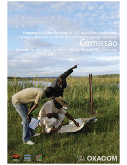 Programa de Ac&ccedil;&otilde;es Estrat&eacute;gicas da Bacia Hidrogr&aacute;fica do