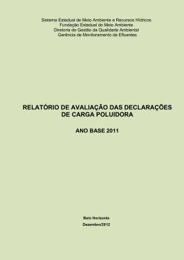 Relatório de avaliação das declarações de carga poluidora 2011