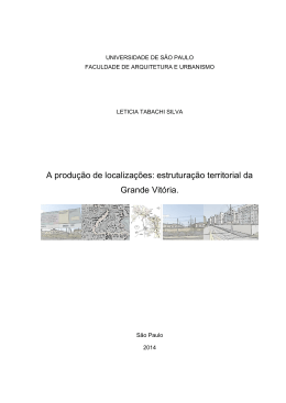 A produ&ccedil;&atilde;o de localiza&ccedil;&otilde;es: estrutura&ccedil;&atilde;o territorial da Grande Vit&oacute;ria.