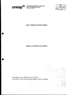 33: uvaERleADE ESTADUAL PAuLls`rA