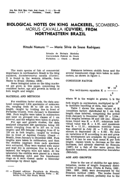 biological notes on king mackerel, scombero morus cavalla (cuvier)