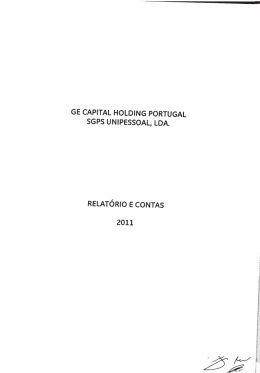 ge capital holding portugal sgps unipessoal, lda.