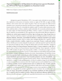 Aspectos Comparativos da Reprodu&ccedil;&atilde;o de Apistogramma agassizii