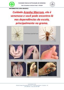 Cuidado Aranha Marrom, ela &eacute; venenosa e voc&ecirc; pode