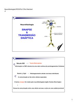 SINAPSE & NEUROTRANSMISSAO GERAL