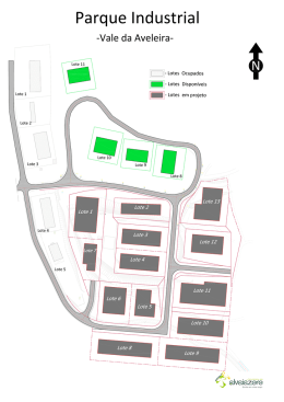 U:\zona Industrial vale de Aveleira\3d\ZI_Aveleira_total de lotes3d