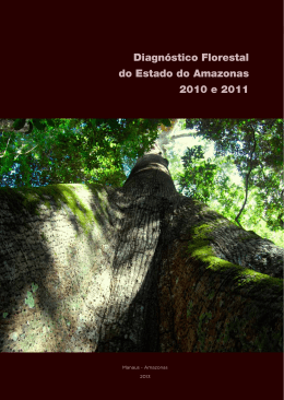 Diagn&oacute;stico Florestal do Estado do Amazonas 2010 e 2011