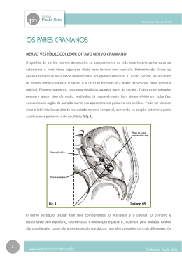 1 NERVO VEST&Iacute;BULOCOCLEAR: OITAVO NERVO CRANIANO