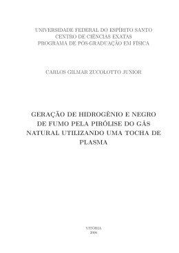 gera&ccedil;&atilde;o de hidrog&ecirc;nio e negro de fumo pela pir&oacute;lise do g&aacute;s natural