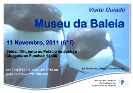 Visita Guiada - Sindicato dos Professores da Madeira