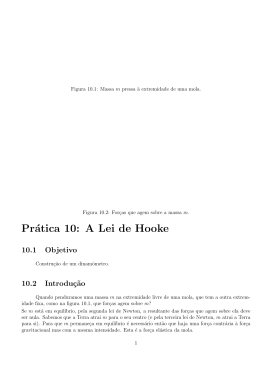 Prática 10: A Lei de Hooke