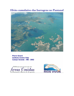 Efeito cumulativo das barragens no Pantanal
