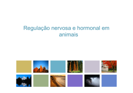 Regulação nervosa e hormonal em animais