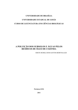 A POLUI&Ccedil;&Atilde;O DOS SUBSOLOS E &Aacute;GUAS PELOS