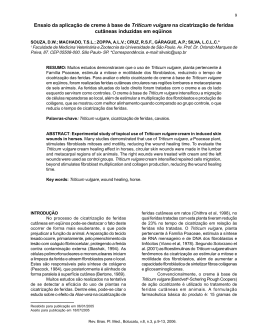 Ensaio da aplica&ccedil;&atilde;o de creme &agrave; base de Triticum vulgare