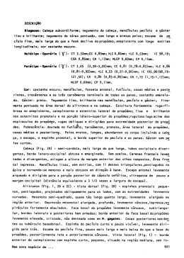 tegumento da cabeça , mand ibulas pecl`olo e gáster
