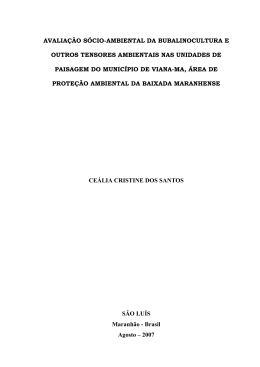 viana munic&iacute;pio