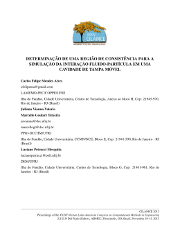 determina&ccedil;&atilde;o de uma regi&atilde;o de consist&ecirc;ncia para a simula&ccedil;&atilde;o da
