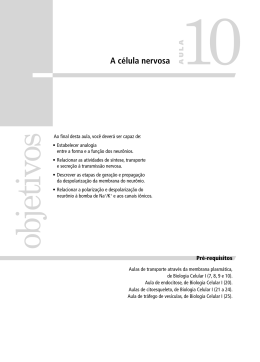 A c&eacute;lula nervosa