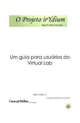 Guia do Usu&aacute;rio