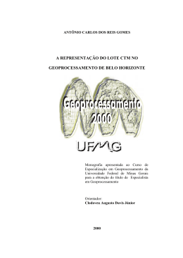 a representa&ccedil;&atilde;o do lote ctm no geoprocessamento de belo horizonte