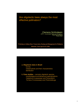 Are oligolectic bees always the most effective pollinators?