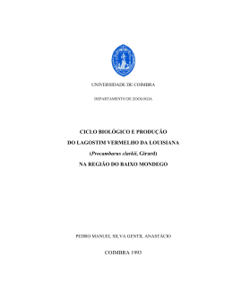 lagostins - Universidade de &Eacute;vora