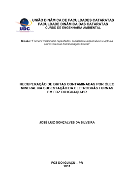 Recupera&ccedil;&atilde;o de Britas Contaminadas por &Oacute;leo Mineral na