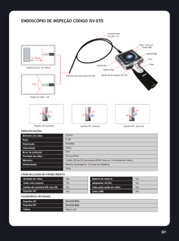 ENDOSC&Oacute;PIO DE INSPE&Ccedil;&Atilde;O C&Oacute;DIGO ISV-E55