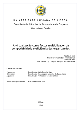 A virtualiza&ccedil;&atilde;o como factor multiplicador da competitividade e