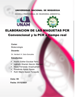 MAQUETA PCR BIOTECNOLOGIA