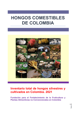 HONGOS COMESTIBLES SILVESTRES Y CULTIVADOS DE COLOMBIA